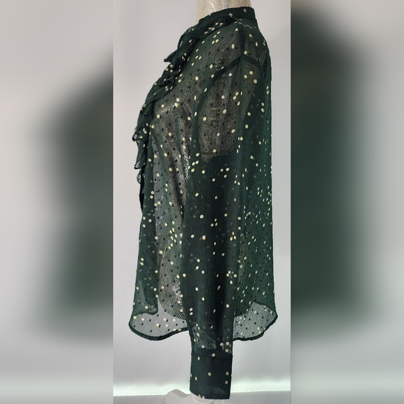 H&M Sheer Ruffled Blouse - Picture 2 of 9